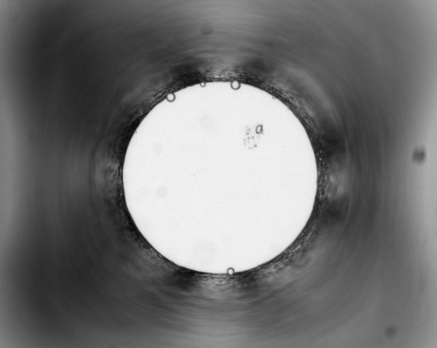 X0000103900521200810101248