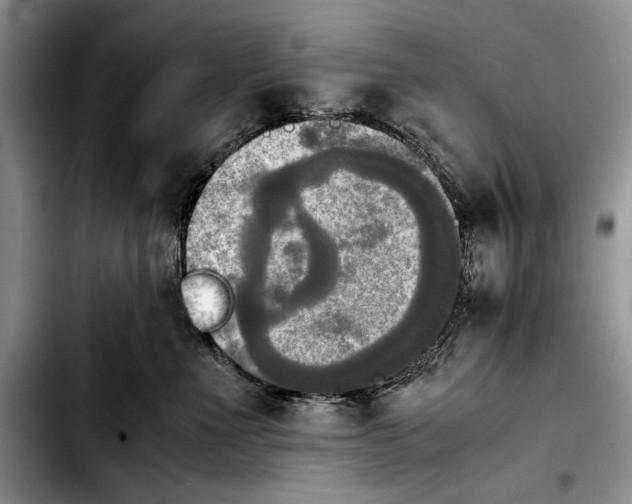 X0000103900523200810101248