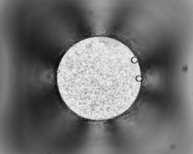 X0000103900524200810101248