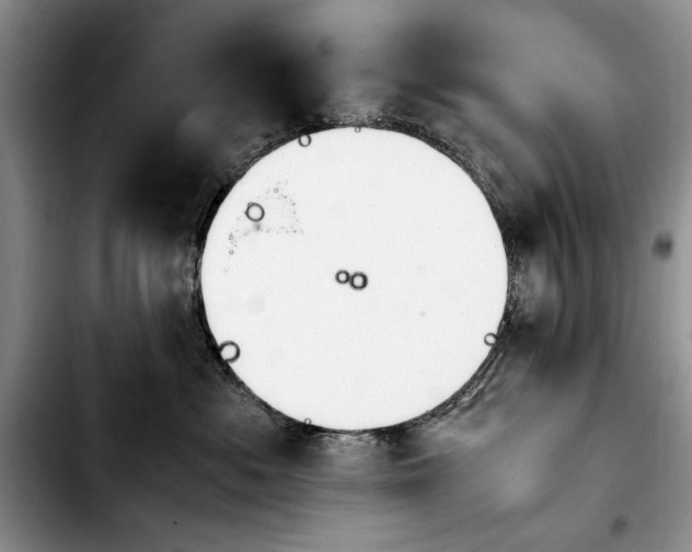 X0000103900525200810101248