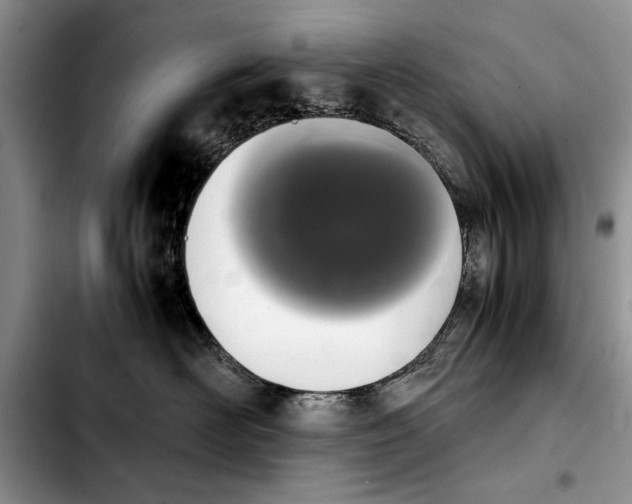 X0000103900526200810101248