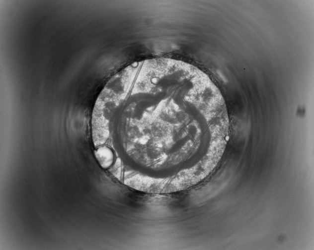 X0000103900527200810101248