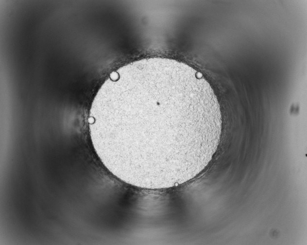 X0000103900528200810101248