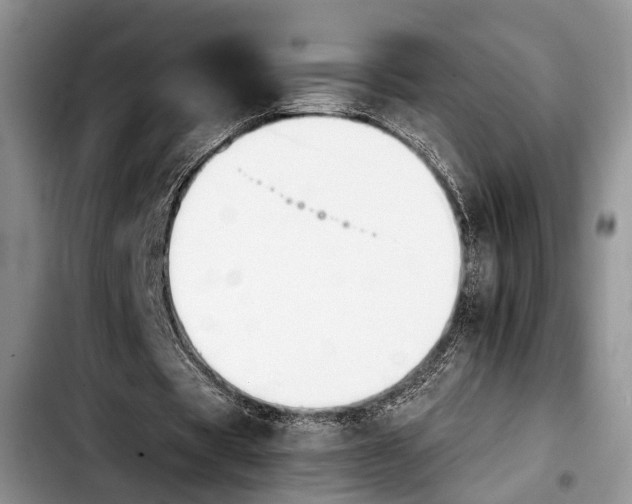 X0000103900529200810101247