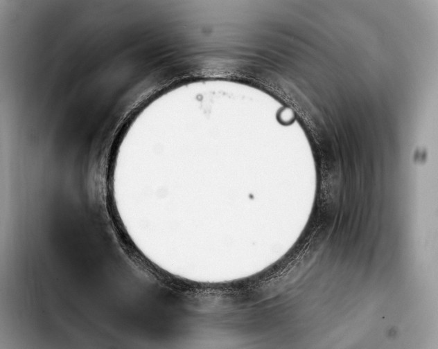 X0000103900530200810101247