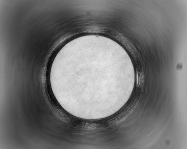 X0000103900531200810101247