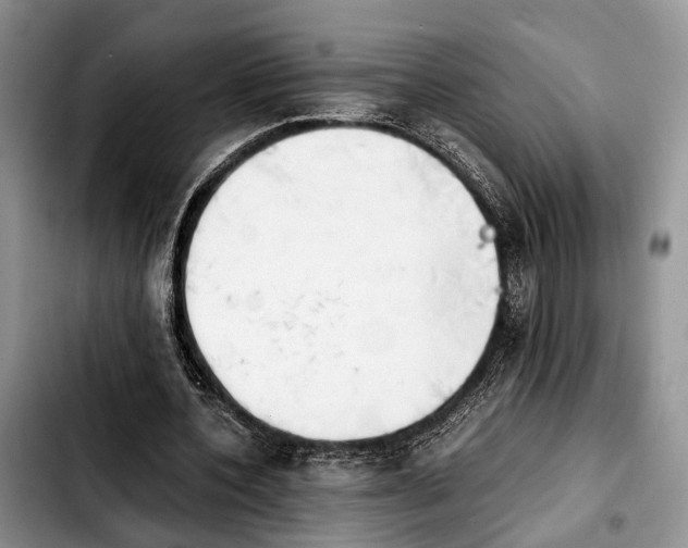 X0000103900532200810101247