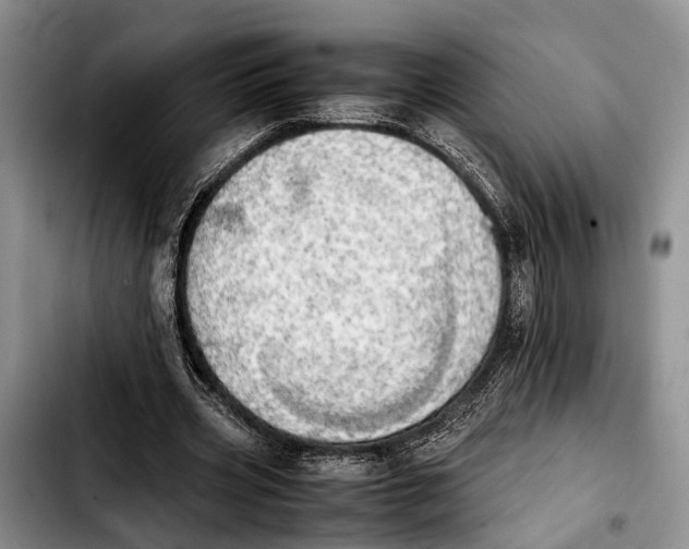 X0000103900533200810101247