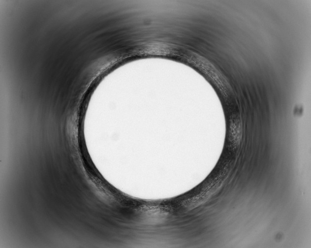 X0000103900534200810101247