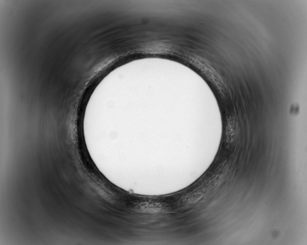 X0000103900535200810101247