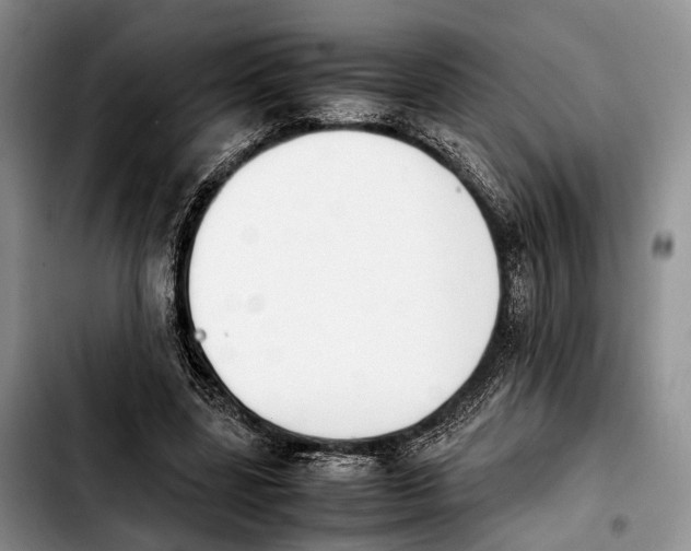 X0000103900539200810101247