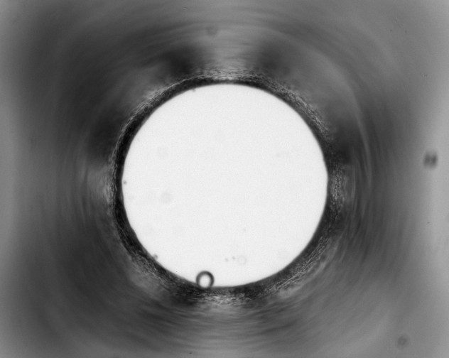 X0000103900540200810101247