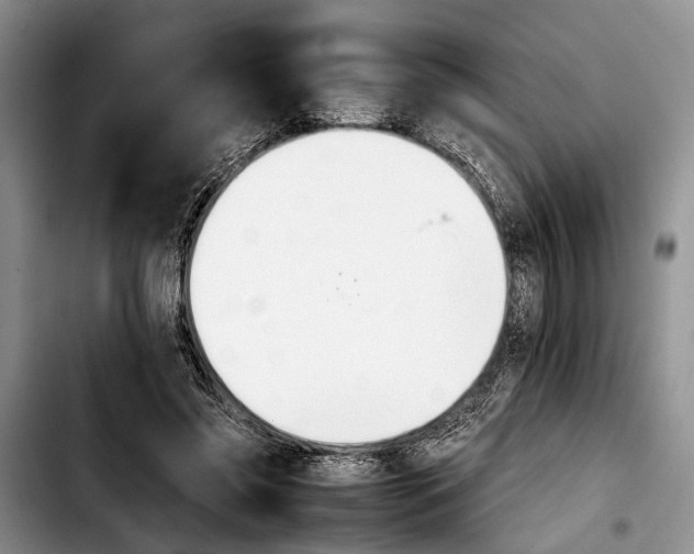 X0000103900541200810101247