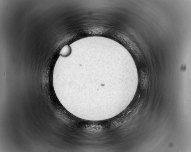 X0000103900543200810101247