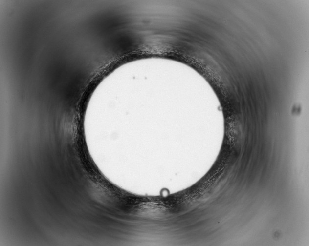 X0000103900544200810101247