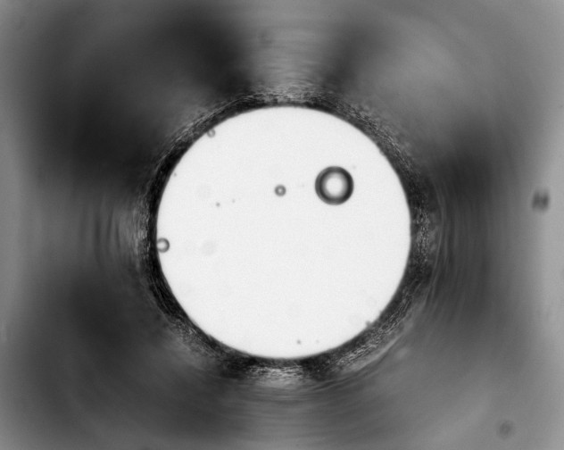 X0000103900548200810101247