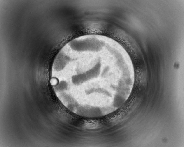 X0000103900549200810101248