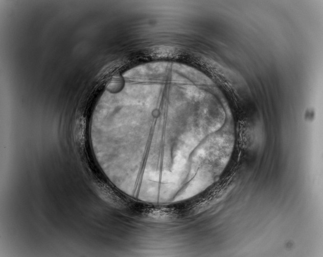 X0000103900550200810101248