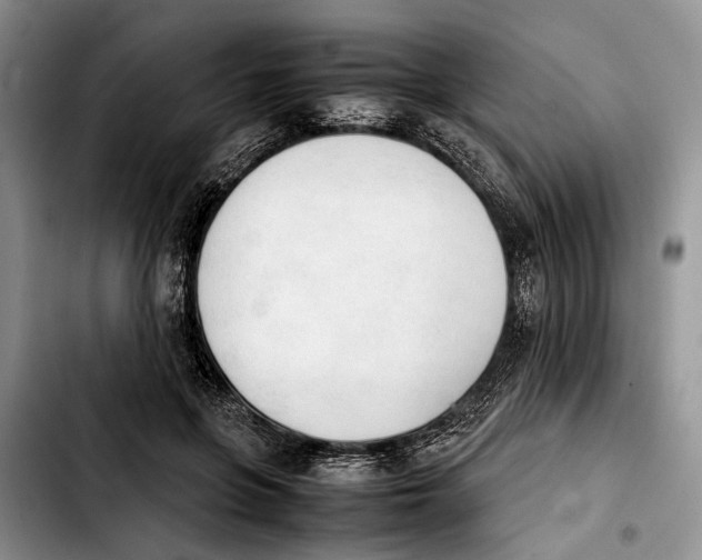 X0000103900551200810101248