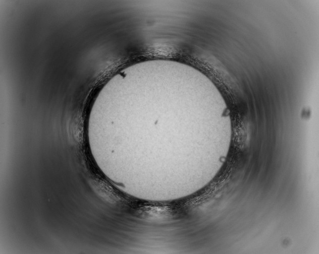 X0000103900552200810101248