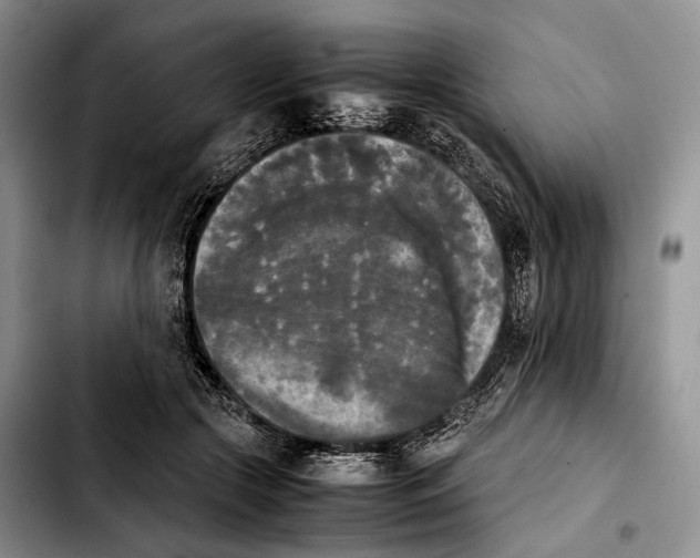 X0000103900553200810101248