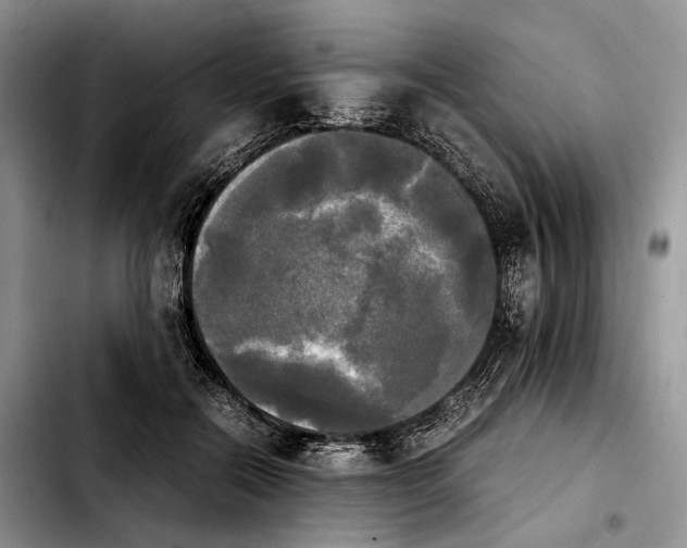 X0000103900554200810101248