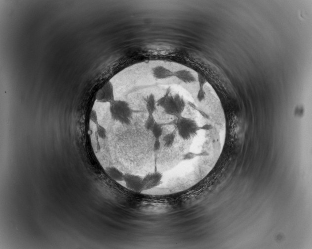 X0000103900559200810101248