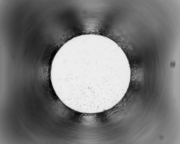 X0000103900560200810101248