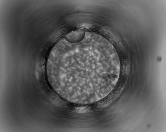 X0000103900561200810101248