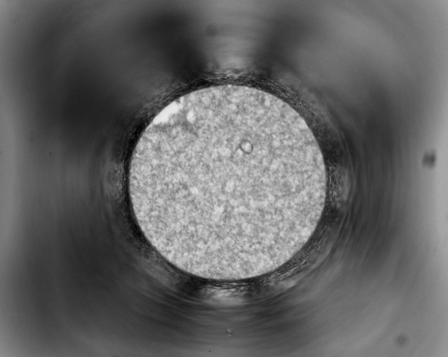 X0000103900563200810101248