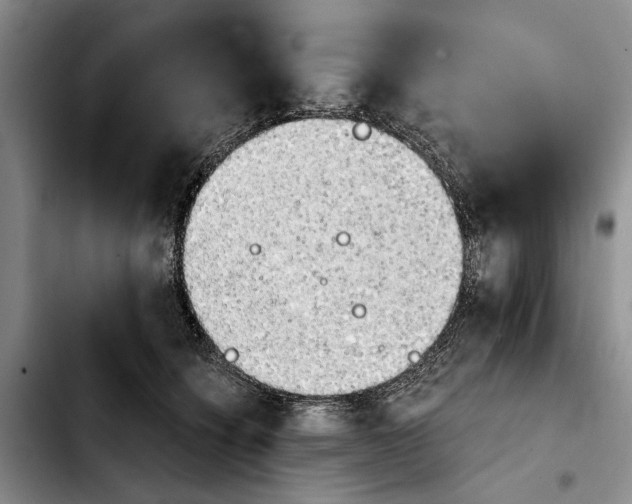 X0000103900564200810101248