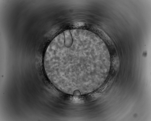 X0000103900565200810101248