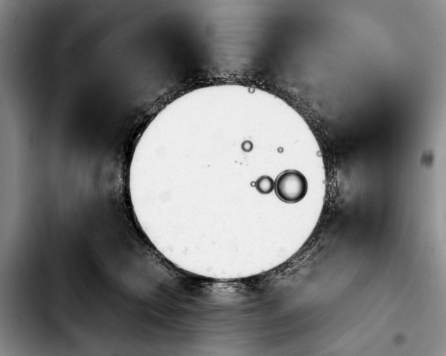 X0000103900566200810101248