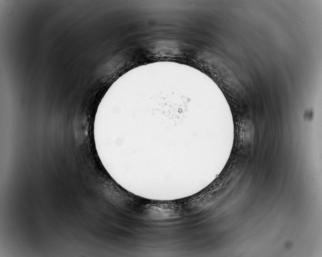 X0000103900567200810101248