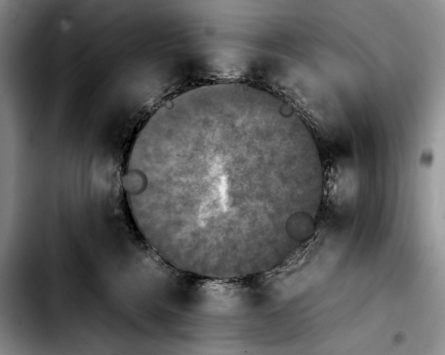 X0000103900568200810101248