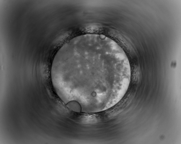 X0000103900569200810101248