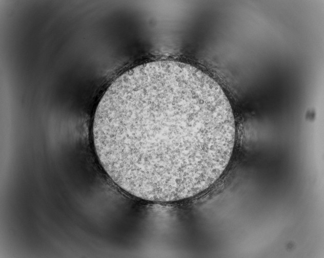 X0000103900570200810101248