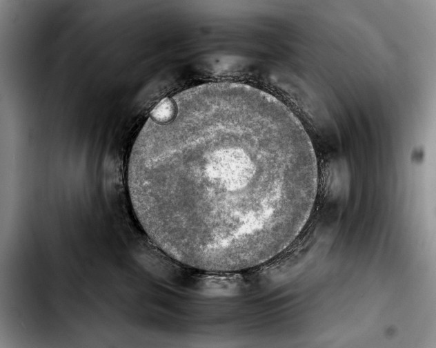 X0000103900571200810101248