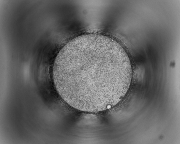 X0000103900572200810101248