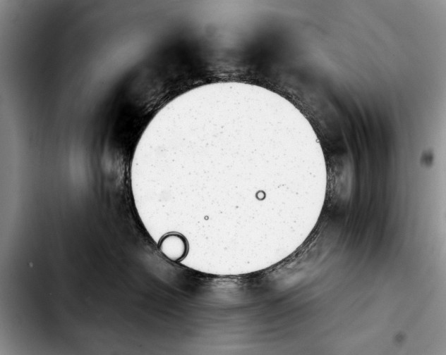 X0000103900574200810101248