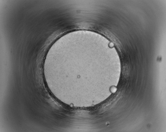 X0000103900577200810101247