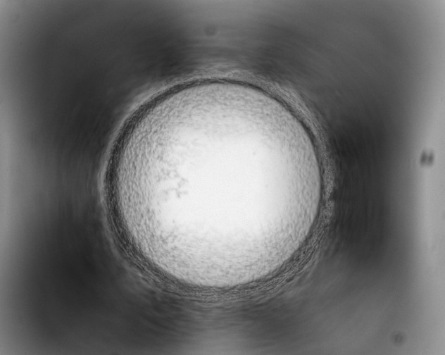 X0000103900579200810101247