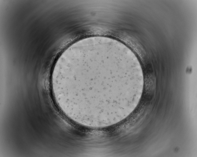 X0000103900581200810101247