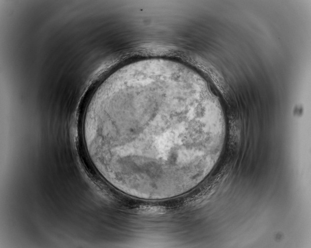 X0000103900582200810101247