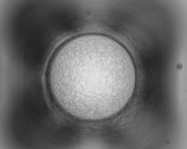 X0000103900583200810101247