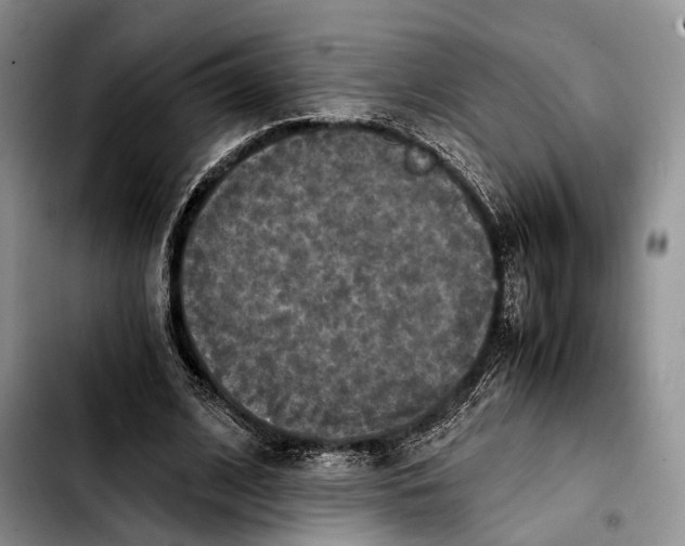 X0000103900584200810101247