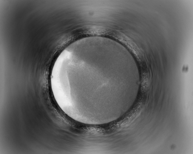 X0000103900585200810101247