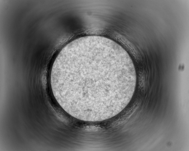 X0000103900586200810101247