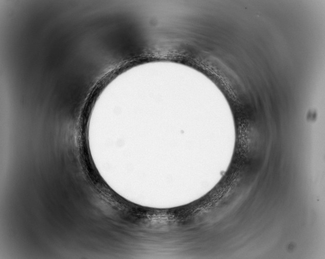 X0000103900587200810101247