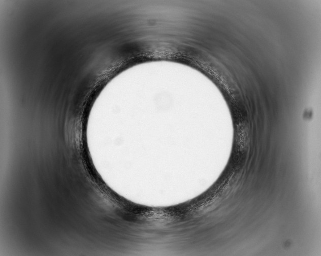 X0000103900589200810101247